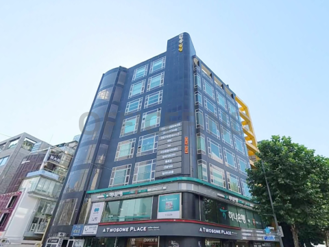HIDS킹콩빌딩 사진 #1