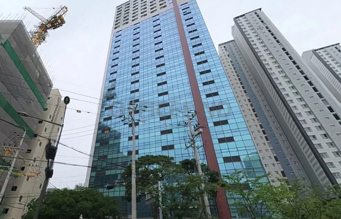 대표